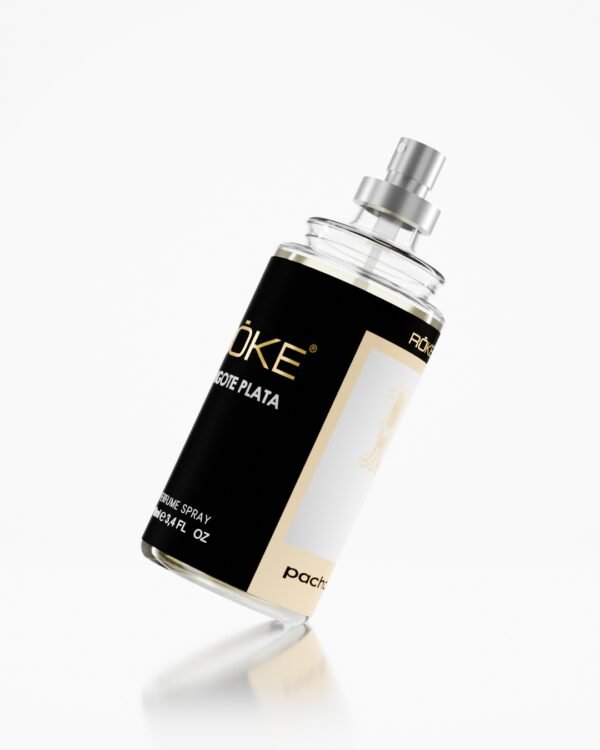 ROKE Lingote PLata - Image 4